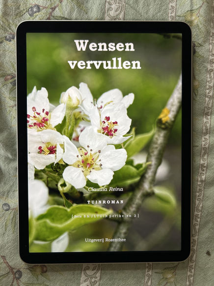 eBook Wensen vervullen